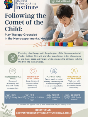 Following the Comet of the Child: Play Therapy Grounded in the Neuroexperiential Model