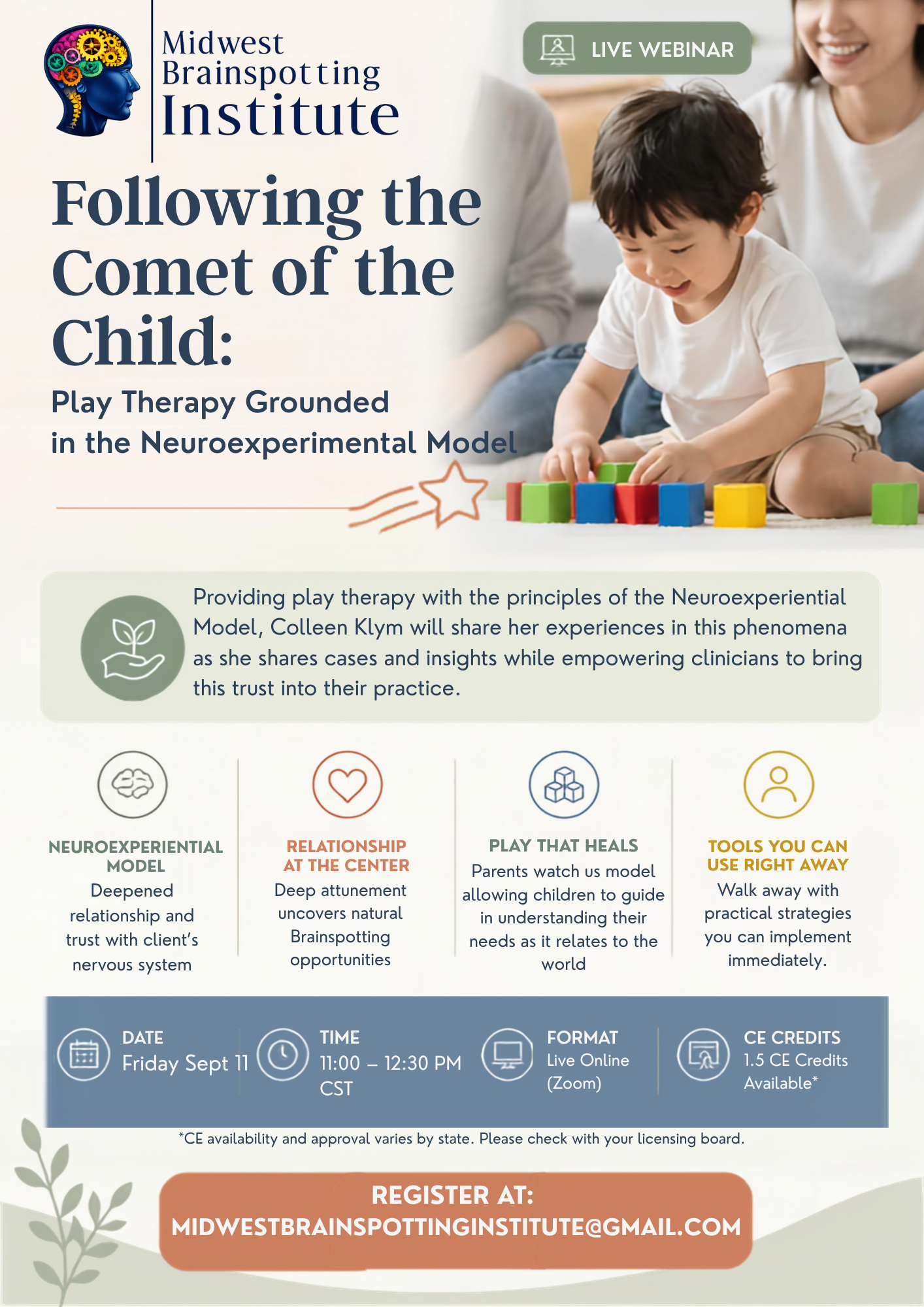 Following the Comet of the Child: Play Therapy Grounded in the Neuroexperiential Model